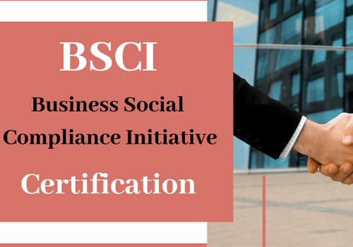 Best BSCI Certification Registration service Tirupur