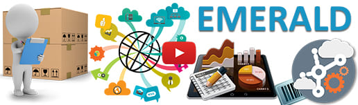 Best ERP Software Development Company